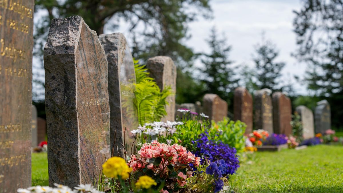 V Brazílii pojmenovali zákon po psovi, jenž deset let žil u hrobu své majitelky